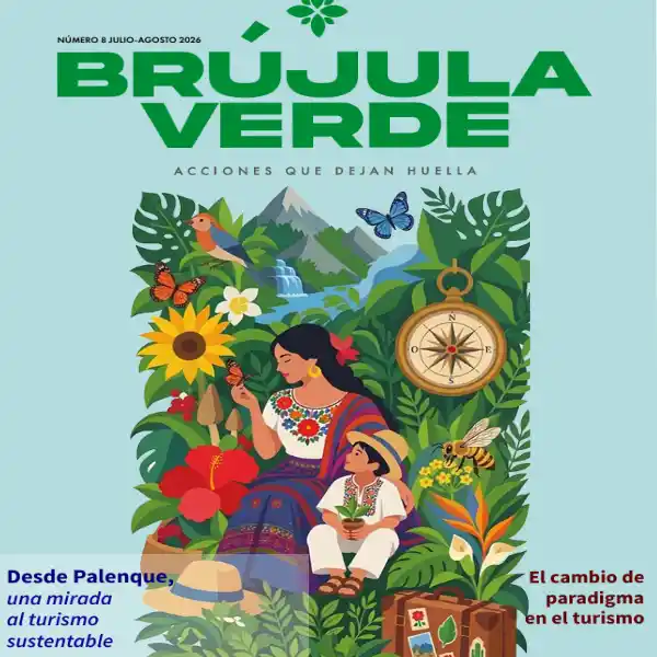 Brújula Verde 8va edición